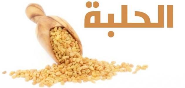 زيت الحلبة