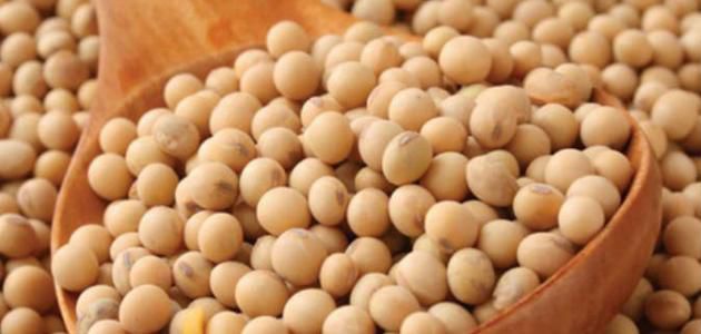 طبخ فول الصويا مع البطاطس والكركم