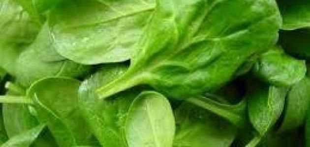 طريقة عمل سلطة السبانخ