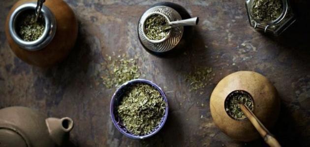 طريقة عمل مشروب المتة
