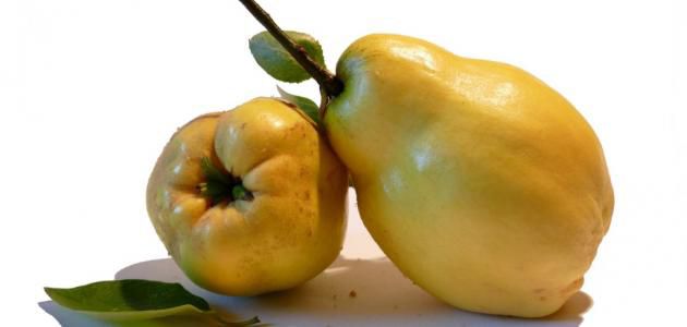 كيفية طبخ السفرجل