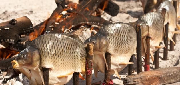 كيفية عمل سمك المسكوف