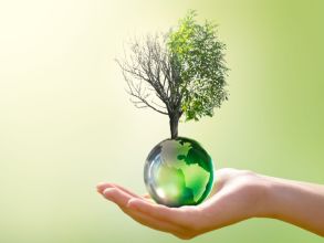 كيف يؤثر التغير المناخي على النبات؟
