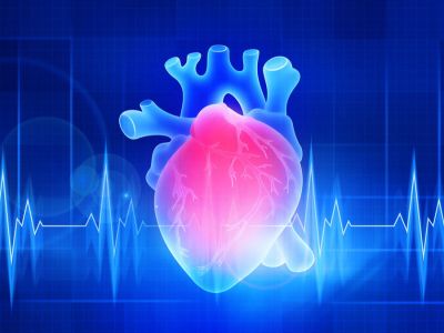 أهم المعلومات: أمراض القلب لدى النساء أهم المعلومات: أمراض القلب لدى النساء