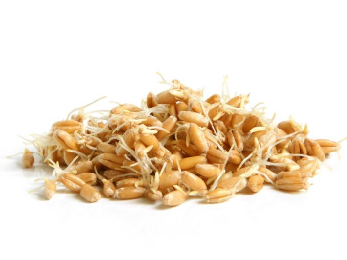 فوائد جنين القمح للأطفال