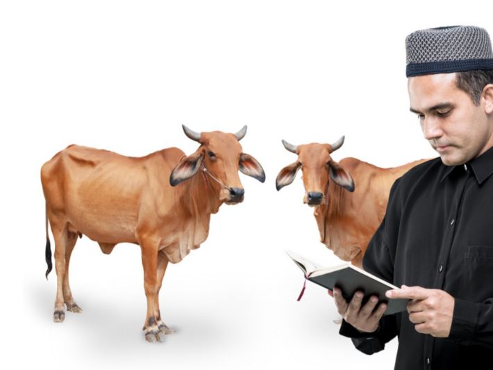 دعاء ذبح الأضحية