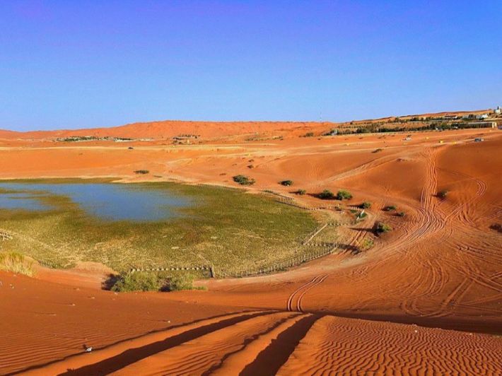 استكشف منتزه روضة الخرارة في الرياض