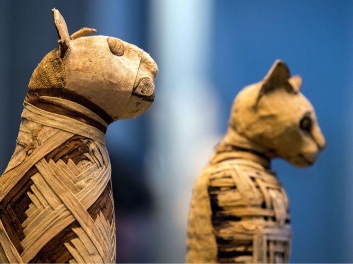 الآثار المصرية في المتاحف العالمية