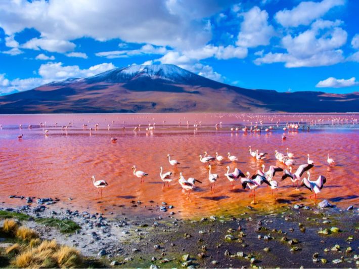 قائمة ببحيرات رائعة ذات مناظر خلابة على مستوى العالم