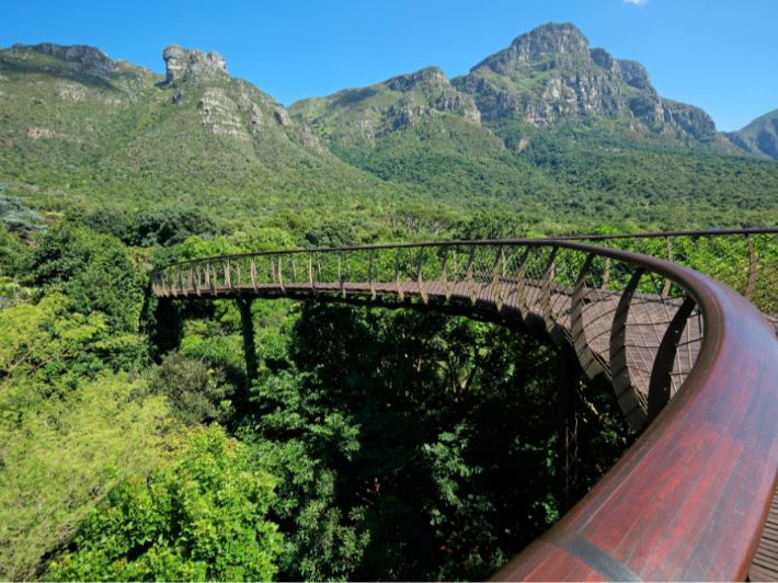 هذه هي أجمل الحدائق في إفريقيا