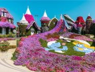 ماذا تعرف عن مدينة الورود في دبي؟