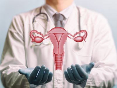 حقائق حول المهبل لم تسمعي بها من قبل