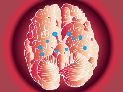 عدد الأعصاب القحفية