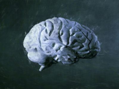 لماذا لون الدماغ رمادي؟