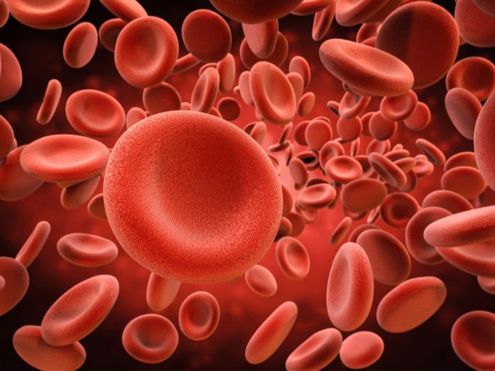 كريات الدم الحمراء وظيفتها خصائصها وأكثر جسم الإنسان الدليل الشامل