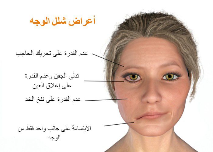 العصب السابع
