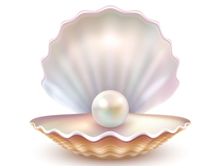 أفضل أنواع اللؤلؤ